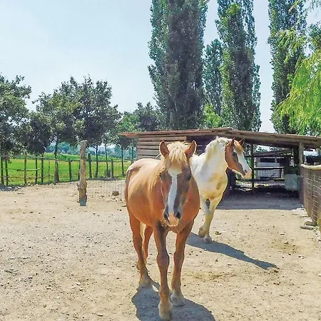 La Rondinella *